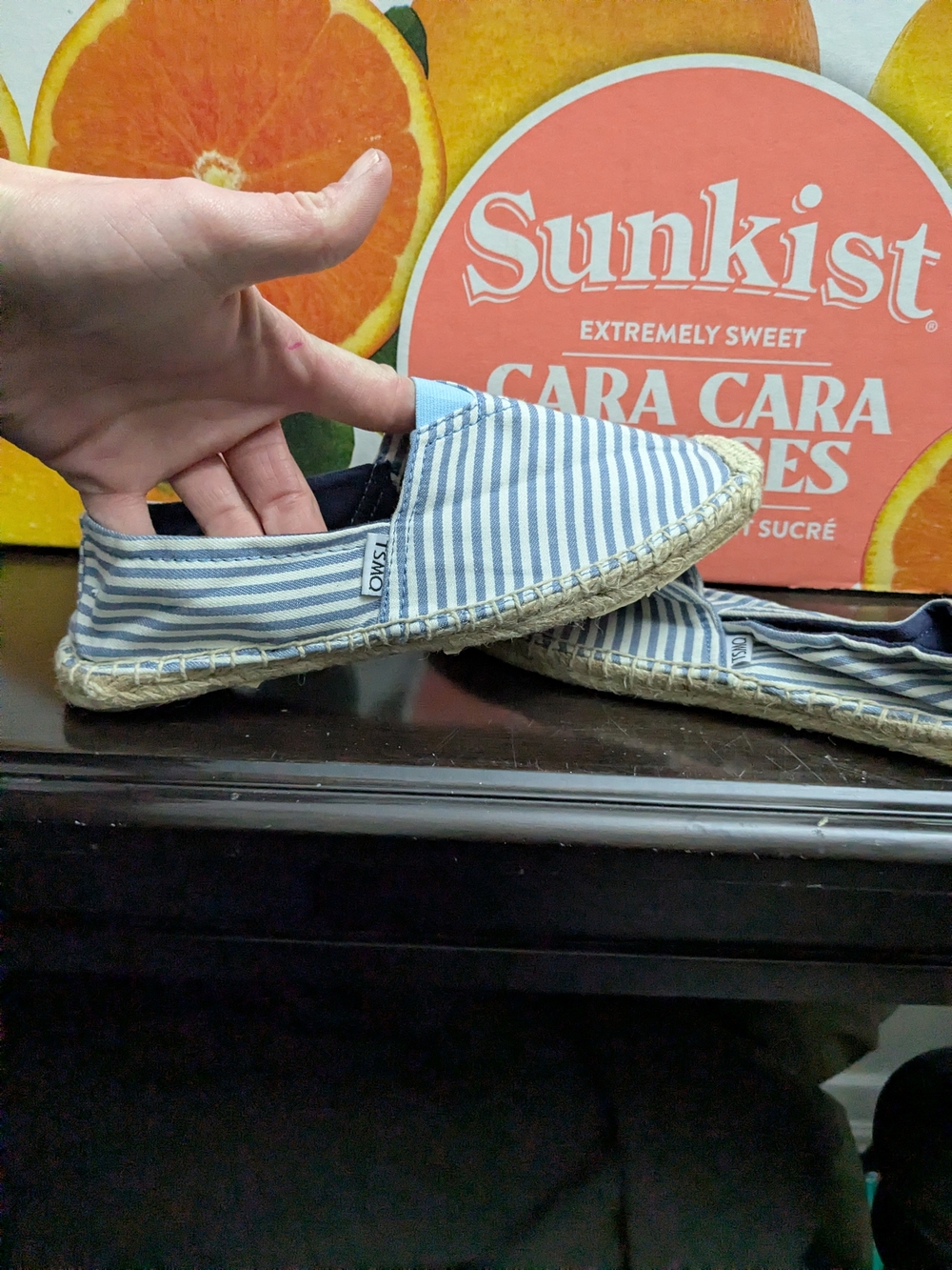 NWT-Toms Blue and White Striped Canvas Espadrilles